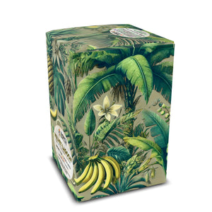 Velvet Lagoon Art Box Coffee Pods/12 Pack: Palms & Bananas, Taupe - Tropics Lifestyle Coffee