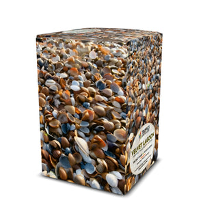 Velvet Lagoon Art Box Coffee Pods/12 Pack: Seashell Beach - Tropics Lifestyle Coffee