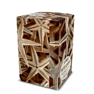 Velvet Lagoon Art Box Coffee Pods/12 Pack: Starfish Friends - Tropics Lifestyle Coffee