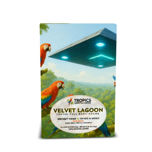 Velvet Lagoon Art Box Coffee Pods/12 Pack: UFO & Parrots - Tropics Lifestyle Coffee