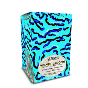 Velvet Lagoon Art Box Coffee Pods/12 Pack: Wlld Coral - Tropics Lifestyle Coffee